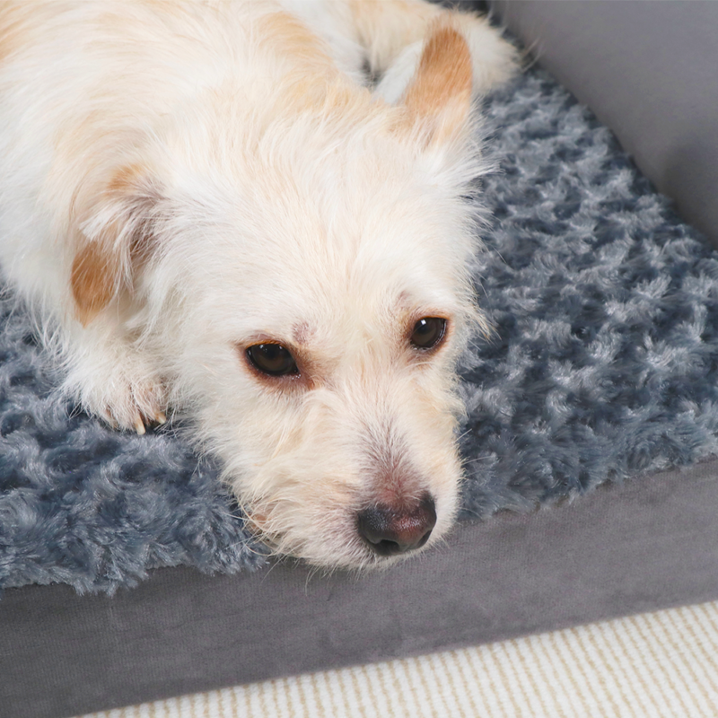 Petopia Waterproof Orthopedic Foam Pet Beds Big Couch Dog Beds - Image 2