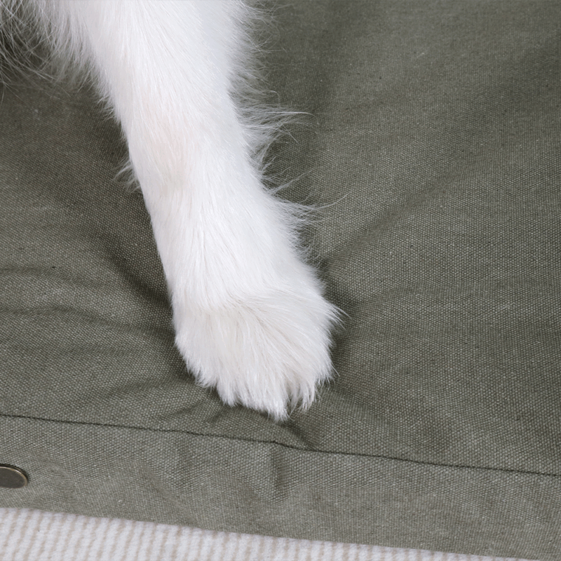 Petopia Canvas Washable Bolster Orthopedic Egg Foam Dog Sofa Waterproof Couch Pet Bed - Image 4