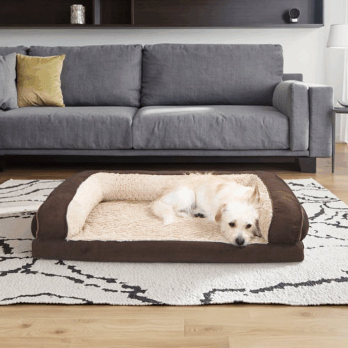 Petopia Orthopedic Dog Sofa Bed for Large Dog Pet Couch Supportive Foam Bolster Sofa with Waterproof Lining Cover