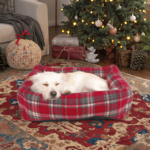 Petopia Multicolour Plush Plaid Square Dog Bed Comfort Pet Couch Sofa for Small Dogs